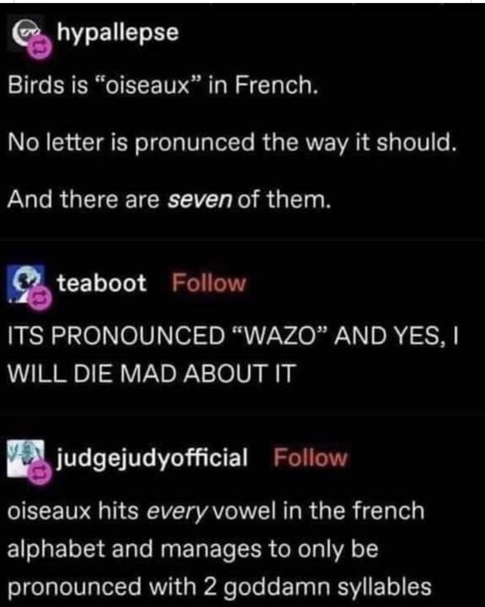 BeddyRomin's tweet photo. Oiseaux, mais pourquoi pas Wazo? #imbackbitch https://t.co/jaOVePqkRK