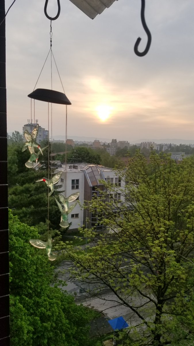 Iva L (@ivanal02964587) on Twitter photo 