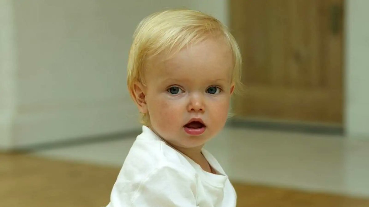 TheOnion's tweet photo. 2-Year-Old Unaware He’s Basis For 6 Couples’ Decisions Not To Have Kids https://t.co/m83dIQ1DeL https://t.co/7pQrZS3MBv