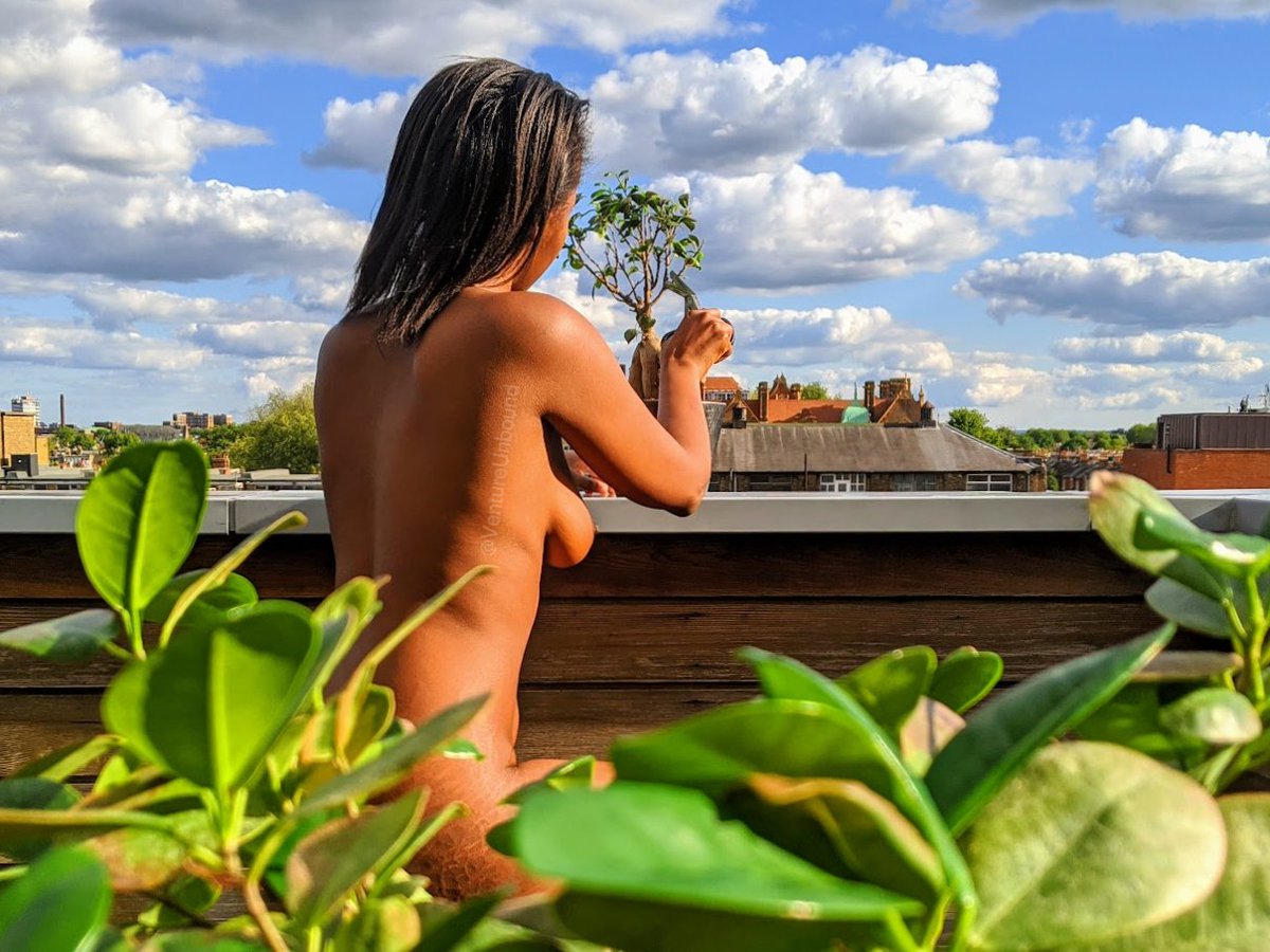 VentureUnbound's tweet photo. Wishing you a happy #WorldNakedGardeningDay! 🌱
Do miniature gardens count? We think so - more time to relax and enjoy 😊
#NormalisingNaturism #WomenInNaturism #Naturism #Nudism https://t.co/sbP367hl67