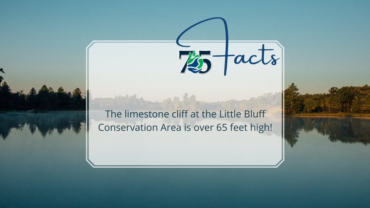 quinteca's tweet photo. Fact #6 The limestone cliff at the Little Bluff Conservation Area is over 65 feet high! #75Facts #QC75 #QCTurns75 https://t.co/GXFrds0FnF