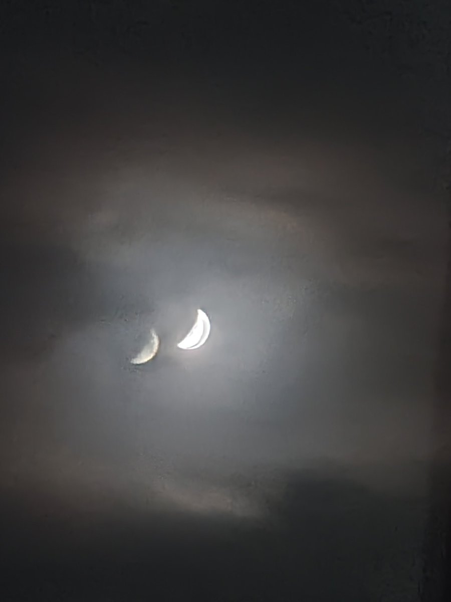 真Luca真 tweet media