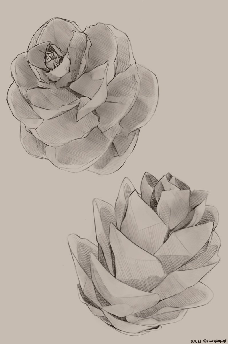 Huaying_yi's tweet photo. Pinecone sketches :) https://t.co/WEwn4nxZ9X