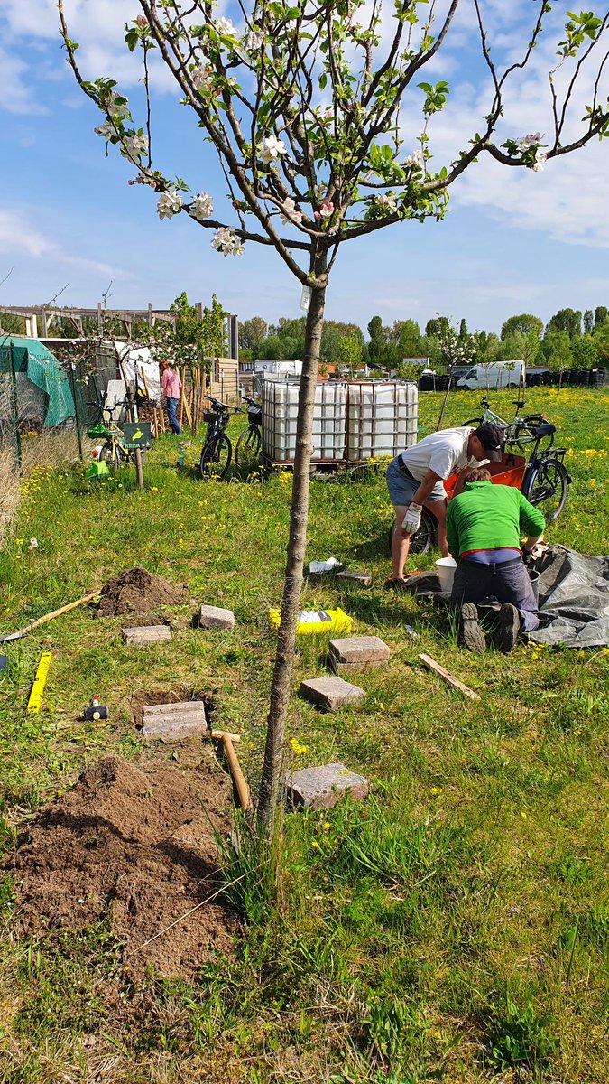 ZWHdorf's tweet photo. Arbeitseinsatz an unserer Streuobstwiese. Jetzt gibt es dort auch Bänke. Danke auch für die Unterstützung vom Team @louisvonkrueger https://t.co/Pf1Sf1RASu