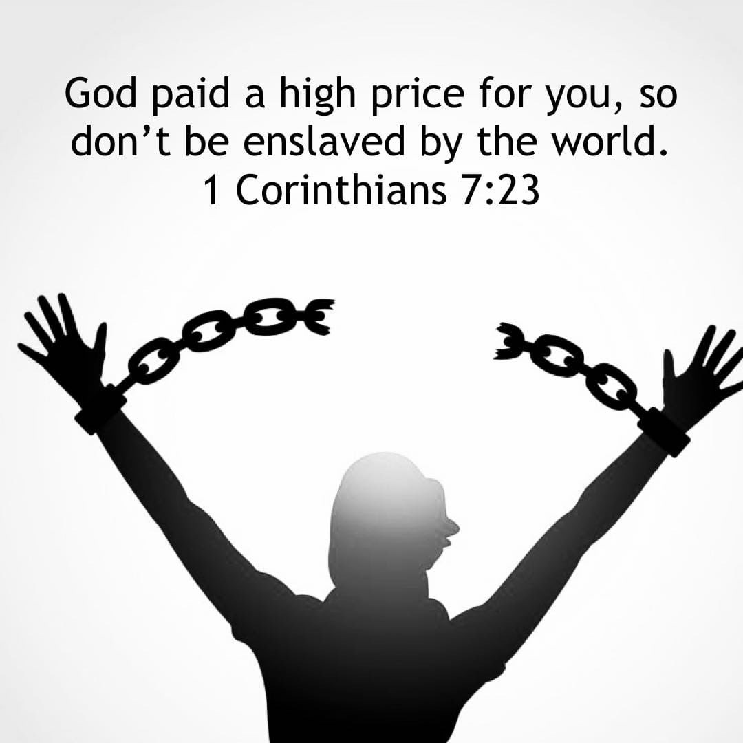 tommathew_'s tweet photo. While many view freedom as doing what I want apart from God…true freedom can only be found in relationship w/ God. The very thing the world promises to bring you freedom, actually enslaves you…DON’T FALL FOR THE LIE…Choose to live in the true freedom God made available to you https://t.co/JexWB3V77o