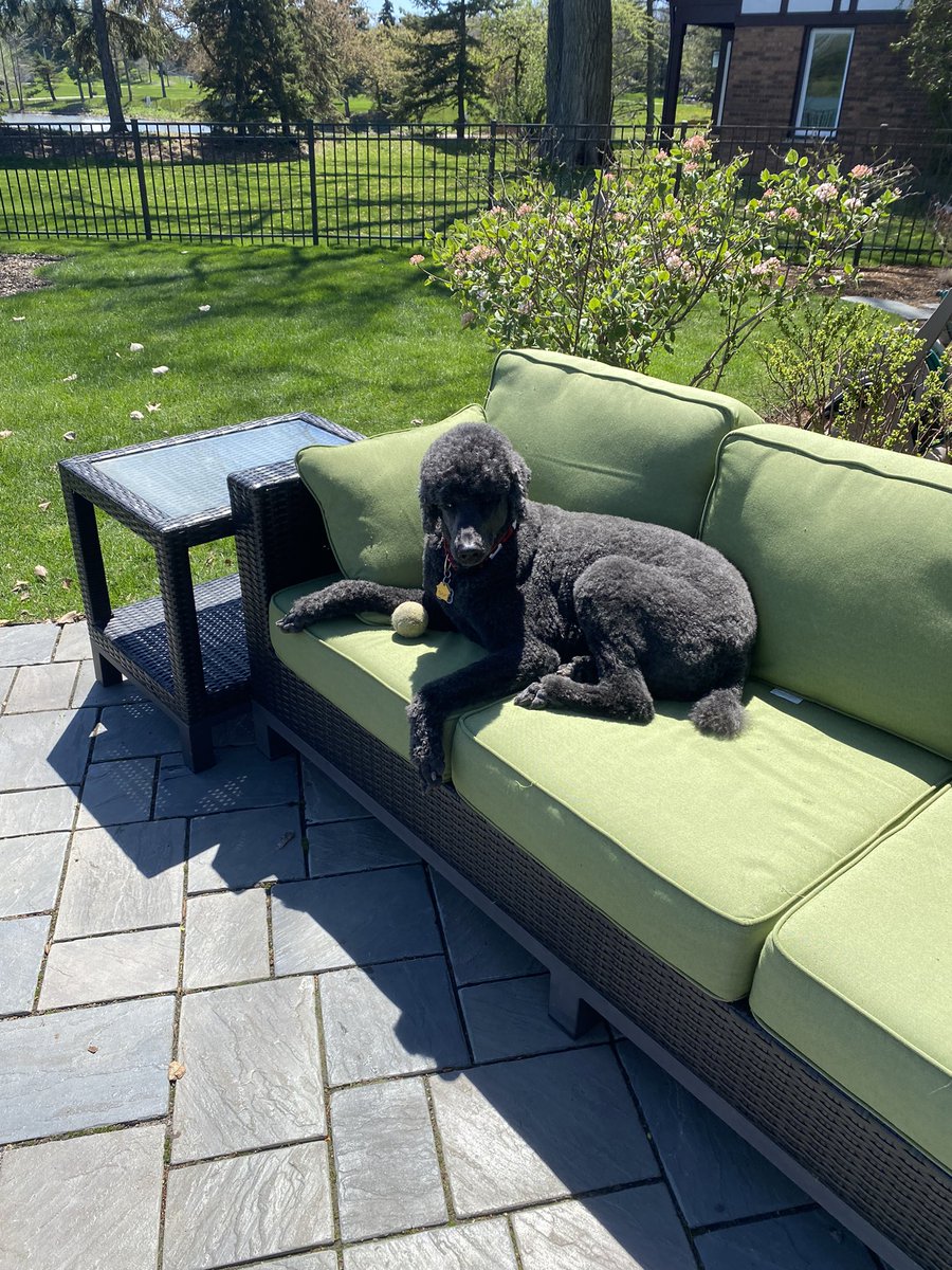 MrsBingham103's tweet photo. @Mschroeder6 Lounging https://t.co/RFPrUpCTjs