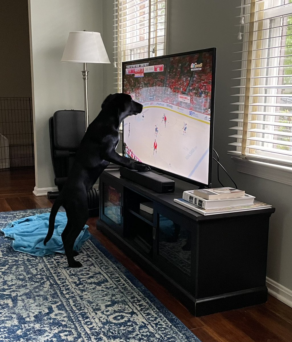 otomoff's tweet photo. DISCO says goooo @Capitals !! @rtomoff16 @BTomoffCPA @_bohudson #rockthered #ALLcaps  #letsgocaps https://t.co/wNfiu8LsYX