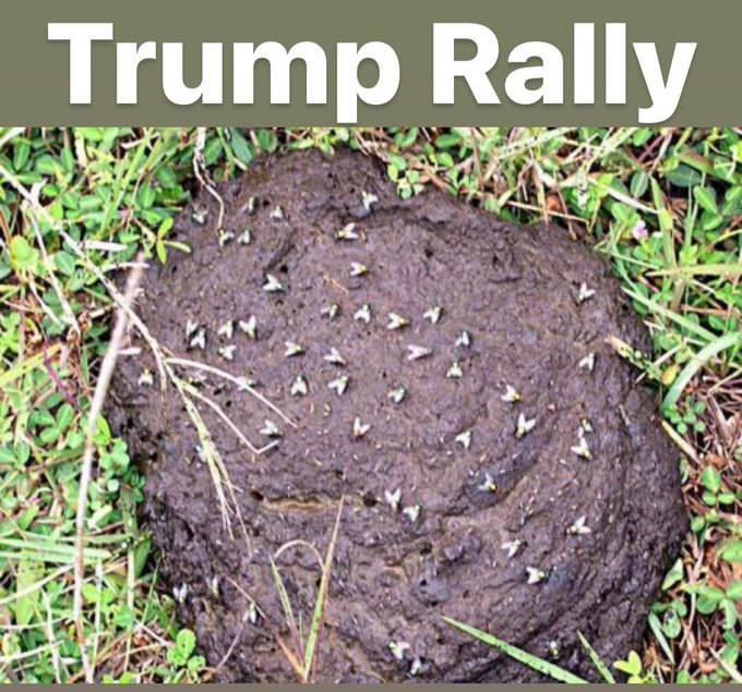 nyc10468's tweet photo. @RonFilipkowski #MAGATS 👇 https://t.co/xq5C96ax3O