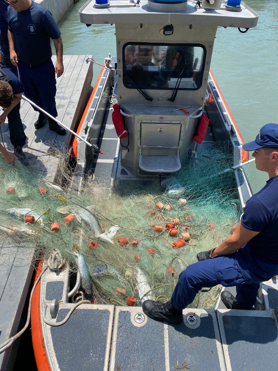 DOLPHIN RESCUE!  No not the helicopter.🐬 A Coast Guard Station South Padre Island boat crew freed a dolphin from an illegal fishing net near Laguna Madre, Texas! 

📸 by SN Lacie Kraatz

#savethedolphins #livingmarineresources