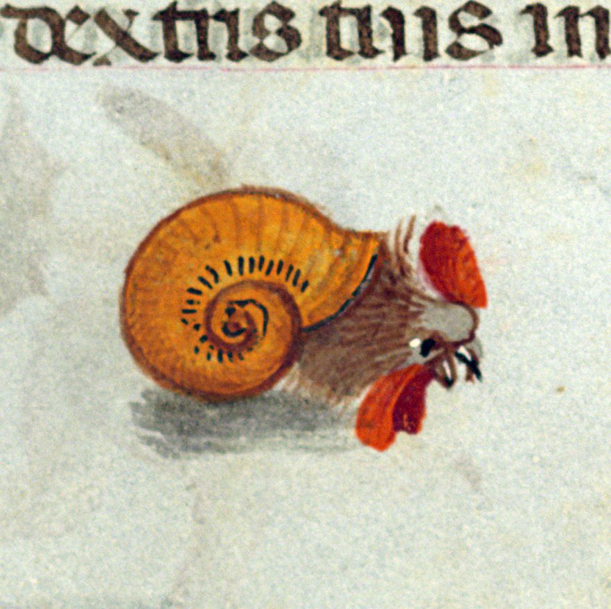 WeirdMedieval's tweet photo. update.....SNOOSTER has entered the chat https://t.co/OXVElNR1SJ