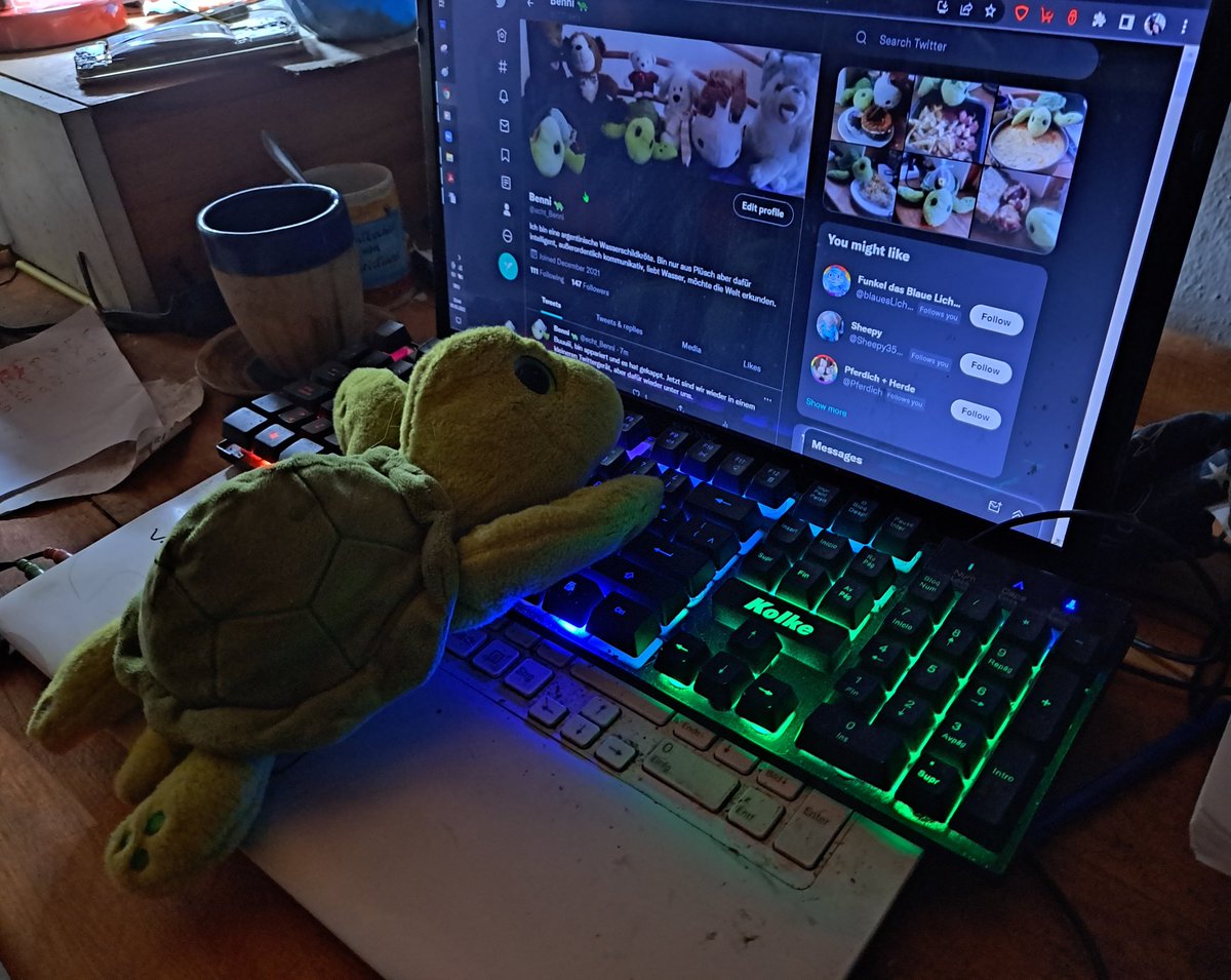 Benni 🐢 tweet media