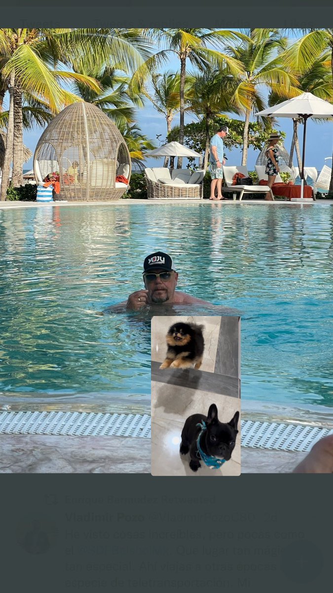 CynthiaCCamacho's tweet photo. @enriquebermudez Aquí te van, Tino y Oreo. Mis cachorros que hacían ahí 😭🫶🏻🤦🏻‍♀️😂 https://t.co/mvuofD2IDN