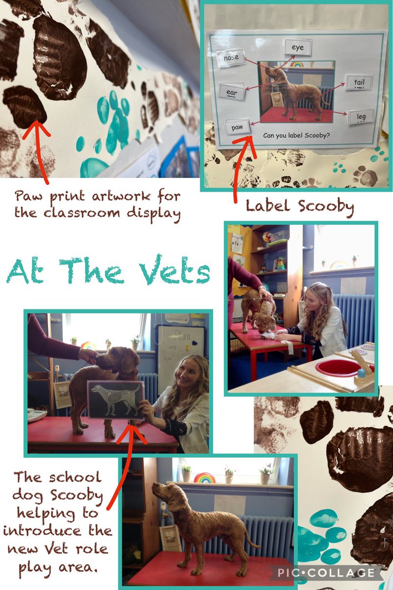 EleanorMiss's tweet photo. Over the past 2 weeks my placement class have loved the new Vet role play. To introduce the provision, Scooby 🐾 visited our Vets, I wrote down his symptoms &amp; decided he needed a bandage &amp; an x-ray. The class then completed their own pet forms. #eyfs #expressivearts #edutwitter https://t.co/NMeWD3gFIw