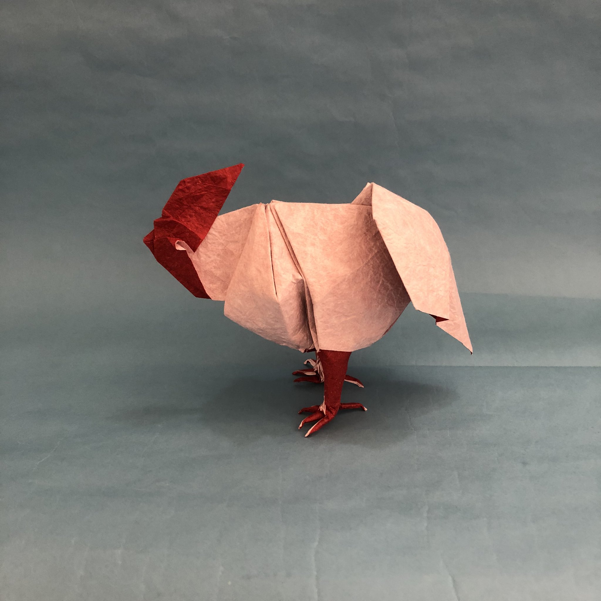 Eichi Origami Rooster 1 1 Designed And Folded By Me May 4th 22 I Revised My Previous Model ニワトリ 自身の創作 ふっくら感をだしました Rooster ニワトリ Origami 折り紙 T Co Nmntv2zopl Twitter