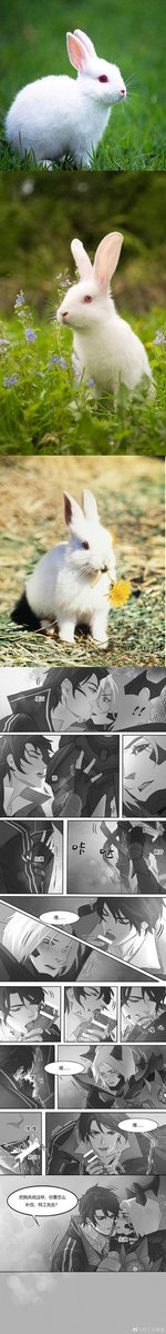 dkif17's tweet photo. 发一下守约跟铠的漫画本子 https://t.co/baKL6rjvsR