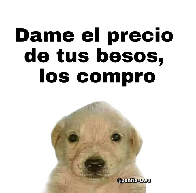 Charly 🎉 tweet media