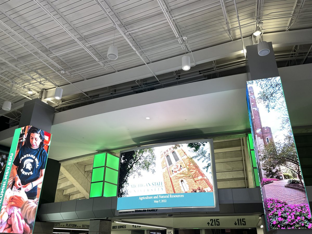 Zhang, Wei @ MSU tweet media