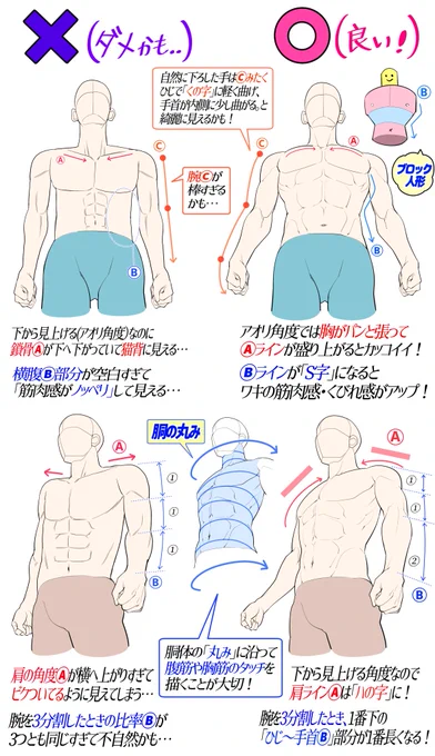 「細マッチョの筋肉男子」を描くとき。

「下手に見えやすい例❌」

「上手に見えやすい例⭕️」 