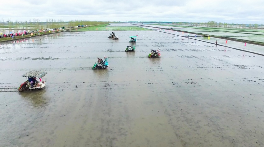 ZhengguanNews's tweet image. Recently, farmers in northeast China’s Heilongjiang Province have been busy transplanting rice seedlings, a Beidou-guided unmanned rice transplanter was working in the field.#Beidou #TechnologyTimes