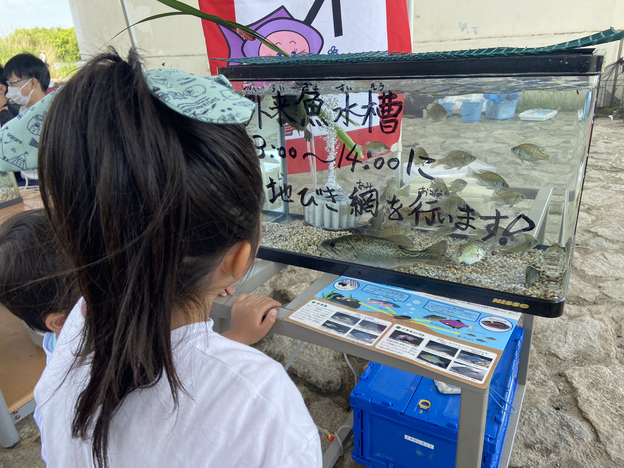 高田 琵琶湖を戻す会 Modosukai Twitter
