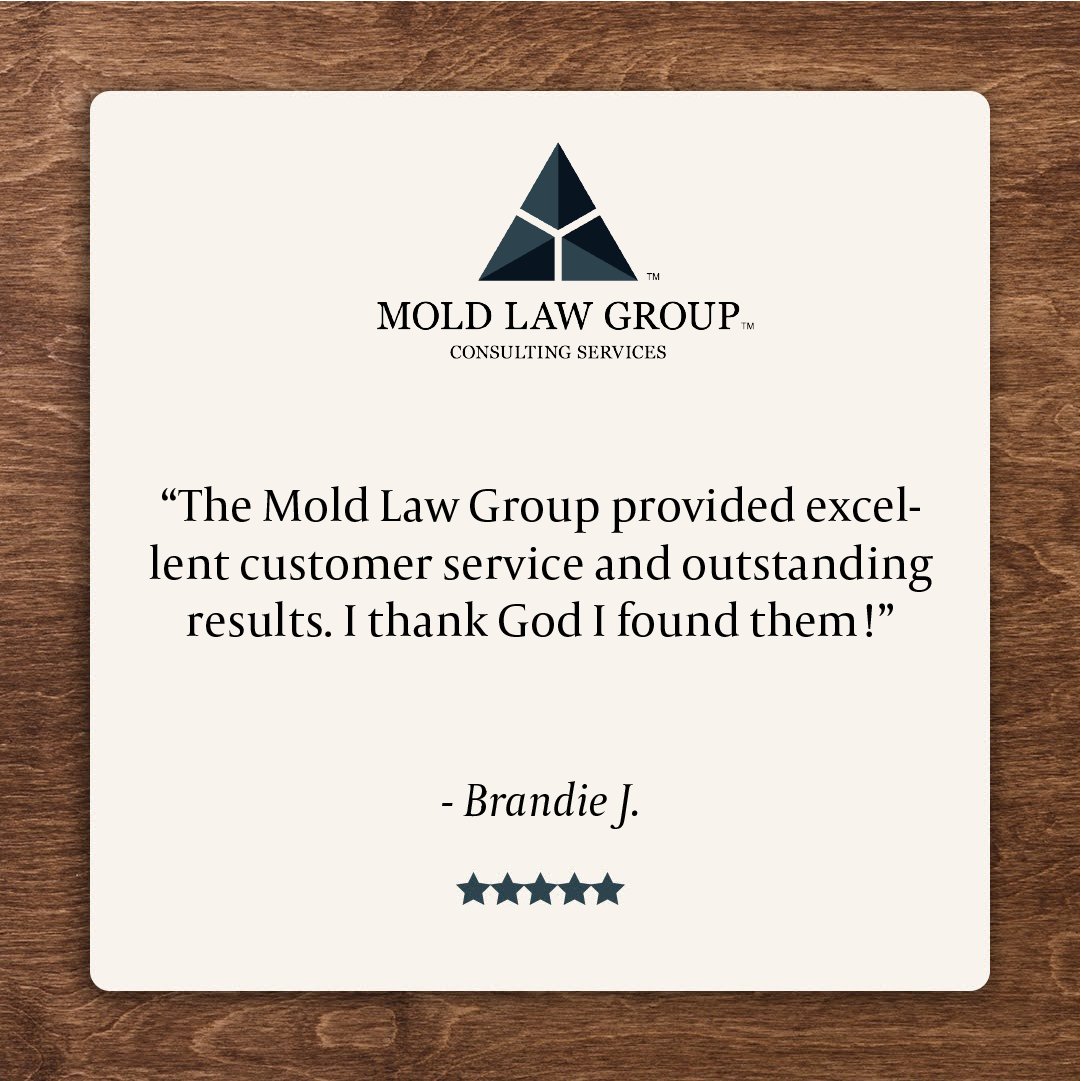 MoldlawG's tweet photo. Thank you for your review!

#moldlawgroup #exposingmold #moldremediation #toxicmold #blackmold #testimonials

{This review is based on the client's individual situation} https://t.co/NBlgMeljnH