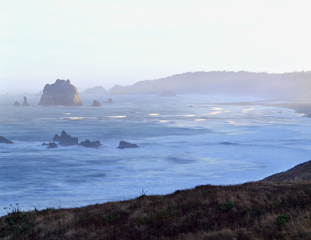 ShoreStudios's tweet photo. @LevinsonArwin Love me some Oregon Coast! Just dropped my @foundation genesis “Lost Horizons, Landscapes on the Edge of Time.” Our wilderness is vanishing before our eyes. Captured on large-format camera before lost forever. https://t.co/AneAyS9A3K. Need to mint this one soon! https://t.co/p8kT0x8Thv