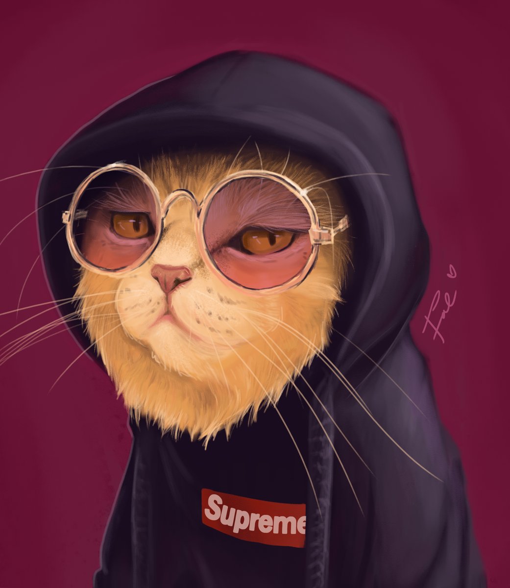 Faevian_'s tweet photo. Last night was a lot of fun! WE FINISHED THAT CAT :D

Behold our first "Internet Cat"

Thank you guys for hanging out 💜 You're appreciated!

#internetcat #CatsOfTwitter #digitalart #meme #photoshop https://t.co/CmEacfRZ2d