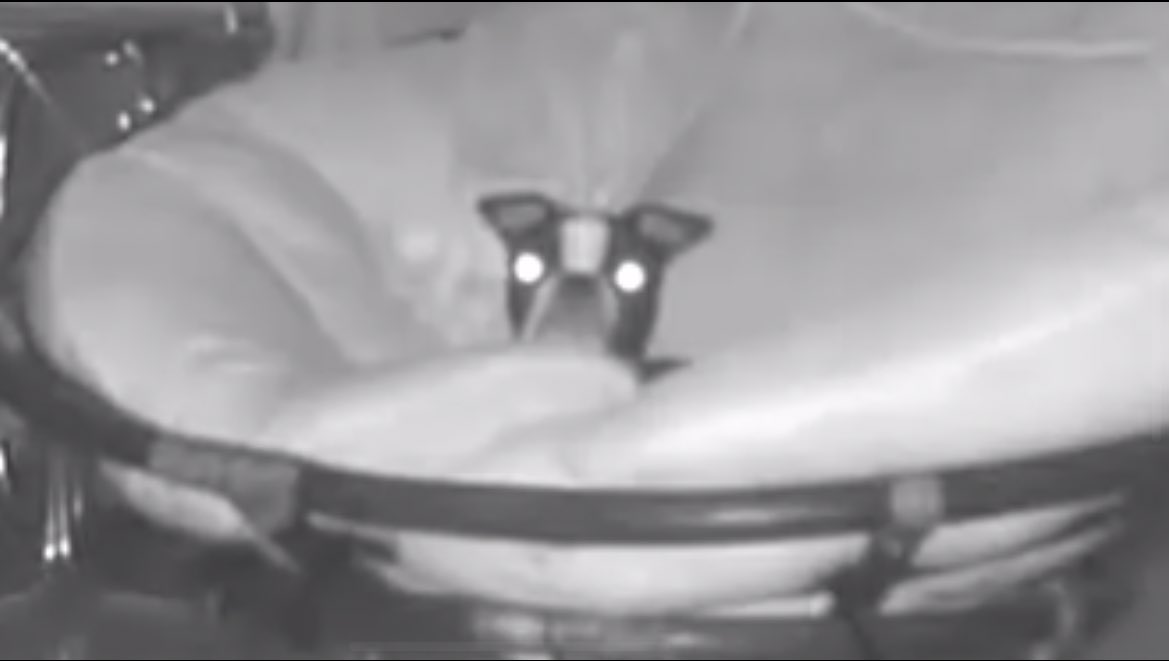 ✦ PETER QUILL. (@zunetuned) on Twitter photo 