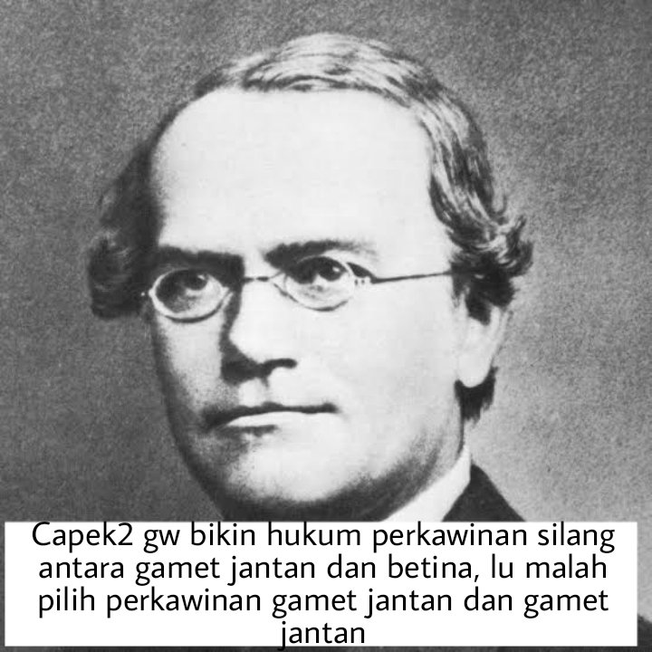 OpenMinded0000's tweet photo. Seidiot2nya manusia, masih lebih idiot kaum LGBT https://t.co/jwQ6TREskE