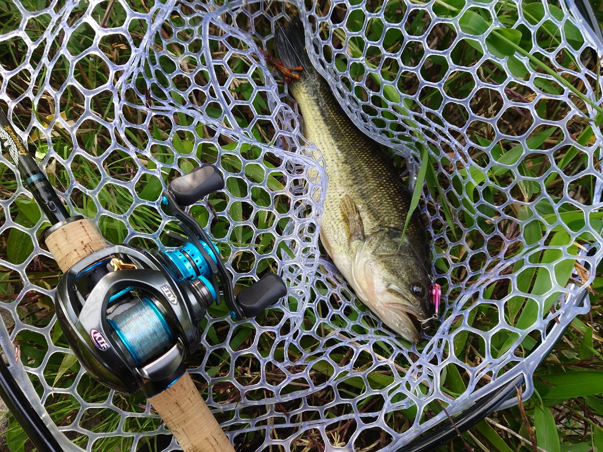 gyogyosuke1006's tweet photo. 今朝も爆風の中、釣行へ🚙💨
得意なsawamuraのOneUpSHADノーシンカーと、RAID JAPANのBoostで2尾🎣あっ、ランディングネット買いました💦
#bassfishing #バス釣り #DAIWA #steezctsvtw700xh #ktfチューン #karil #KAHEN #ダブルボールベアリング #sawamura #OneUpSHAD #raidjapan #levelvibboost https://t.co/OjLTFS8YpC