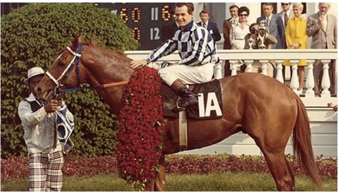 MedTermMatt's tweet photo. MedTerm Kentucky Derby Ed: EIPH (Exercise-Induced Pulmonary Hemorrhage; Pulm/o=lung, -ary=pertaining to; Hem/o=blood, -rrhage=bursting/flow) stress failure of lung capillaries result in blood in the airways. Idiopathic condition in some horses after hard efforts. #MedTerm #HphyUo https://t.co/guLVcJBFF8