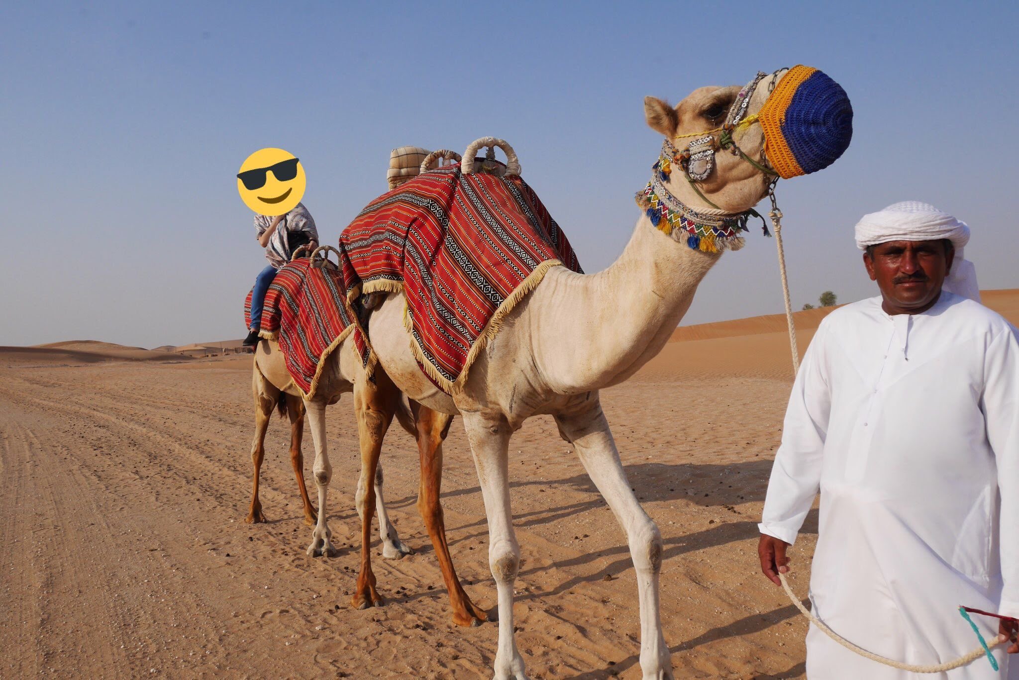  Apple Storeは引き続き米国でMacを購入する最も人気のある場所