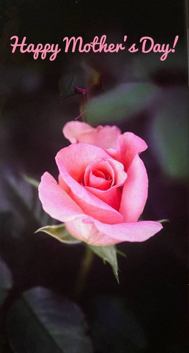 artep15's tweet photo. Happy Mother's Day! https://t.co/d4wk4U6bzV
