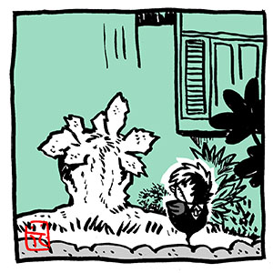 花小金井正幸 Boothでイラスト販売中 Bj先生が好き トランプと 小鳥ヒーローズ 手塚先生キャラ小鳥化計画 ブラックジャック 手塚治虫 ピヨックジャック かわe ファンアート Fanart T Co Iobdyjel9d Twitter