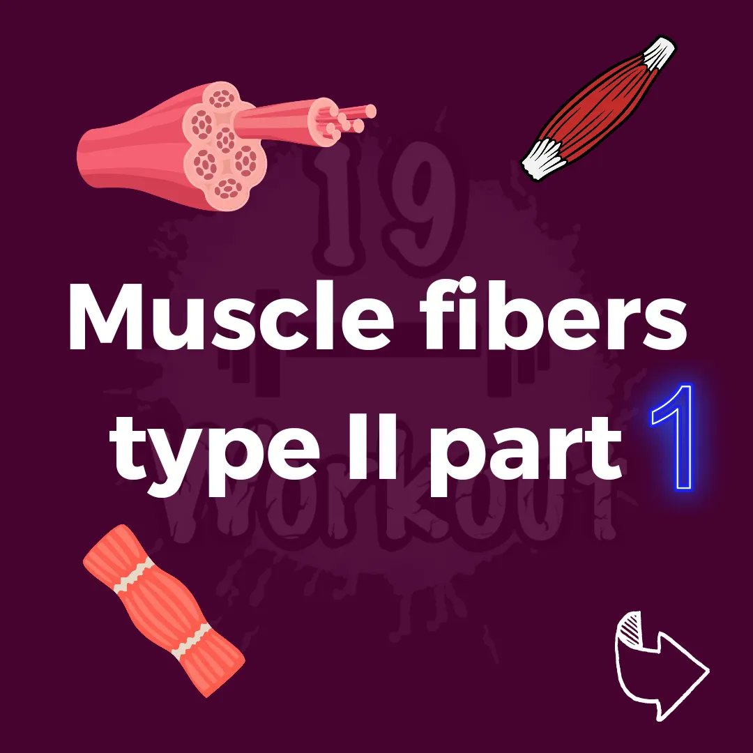 Lucias19workout's tweet photo. #muscle #musclefiber #fitnesscoach https://t.co/SLY3BNrWSS