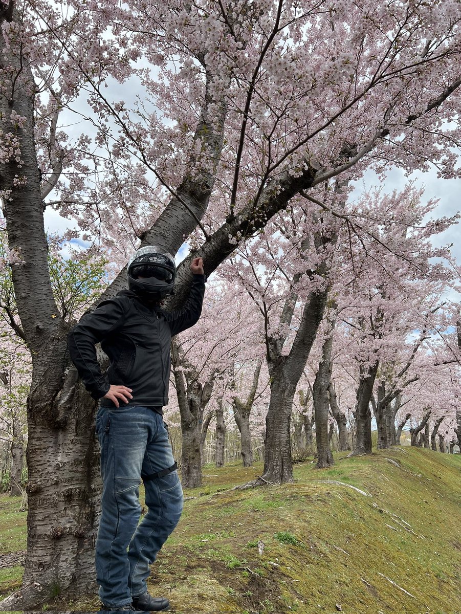 戸田墓地記念公園に桜見に👀

今が見ごろ🌸