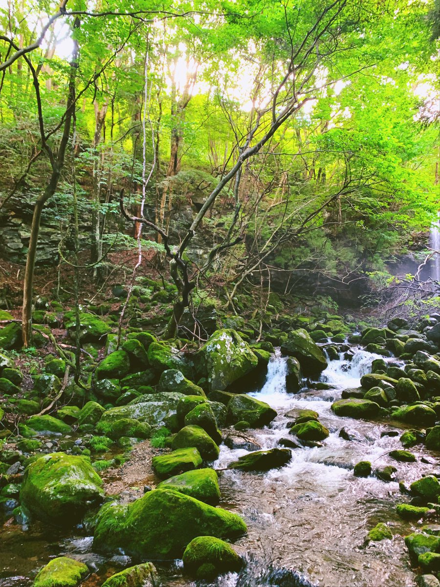 Rumcoke15's tweet photo. 私の住んでるところの風景です^ ^
日本でも観光地として有名な那須塩原市です。
These pictures are the area where I live. https://t.co/FSYmbuVMWA