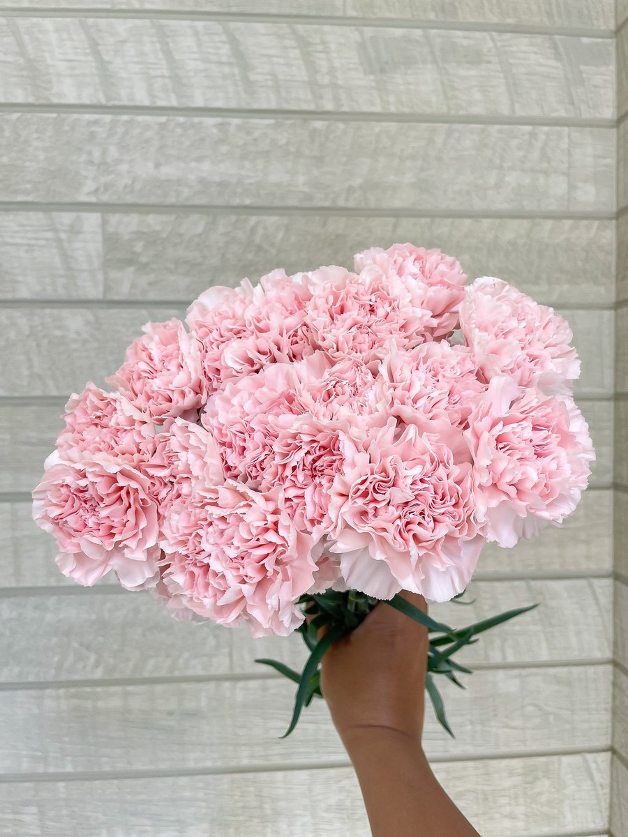 Kissy_SYiiiREAL's tweet photo. おはようございます💐
母の日ですね‼︎ https://t.co/b9xwEYive8