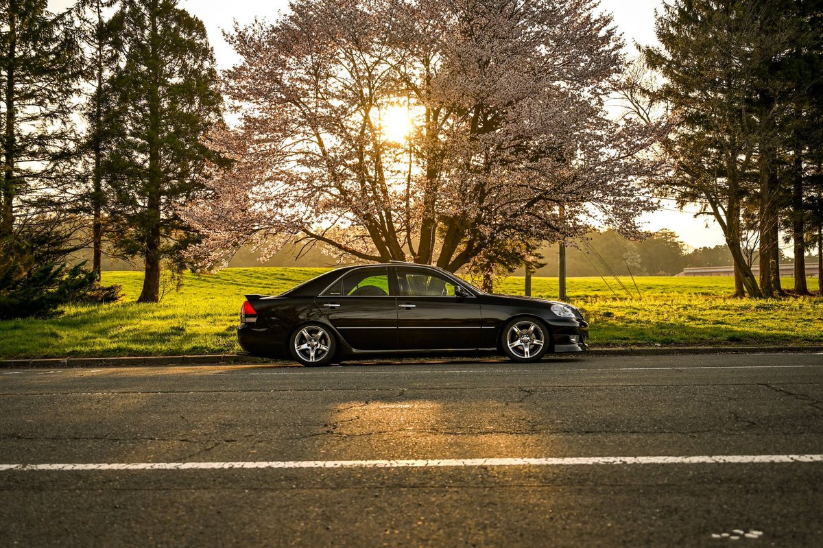 直6大納言☀ tweet media