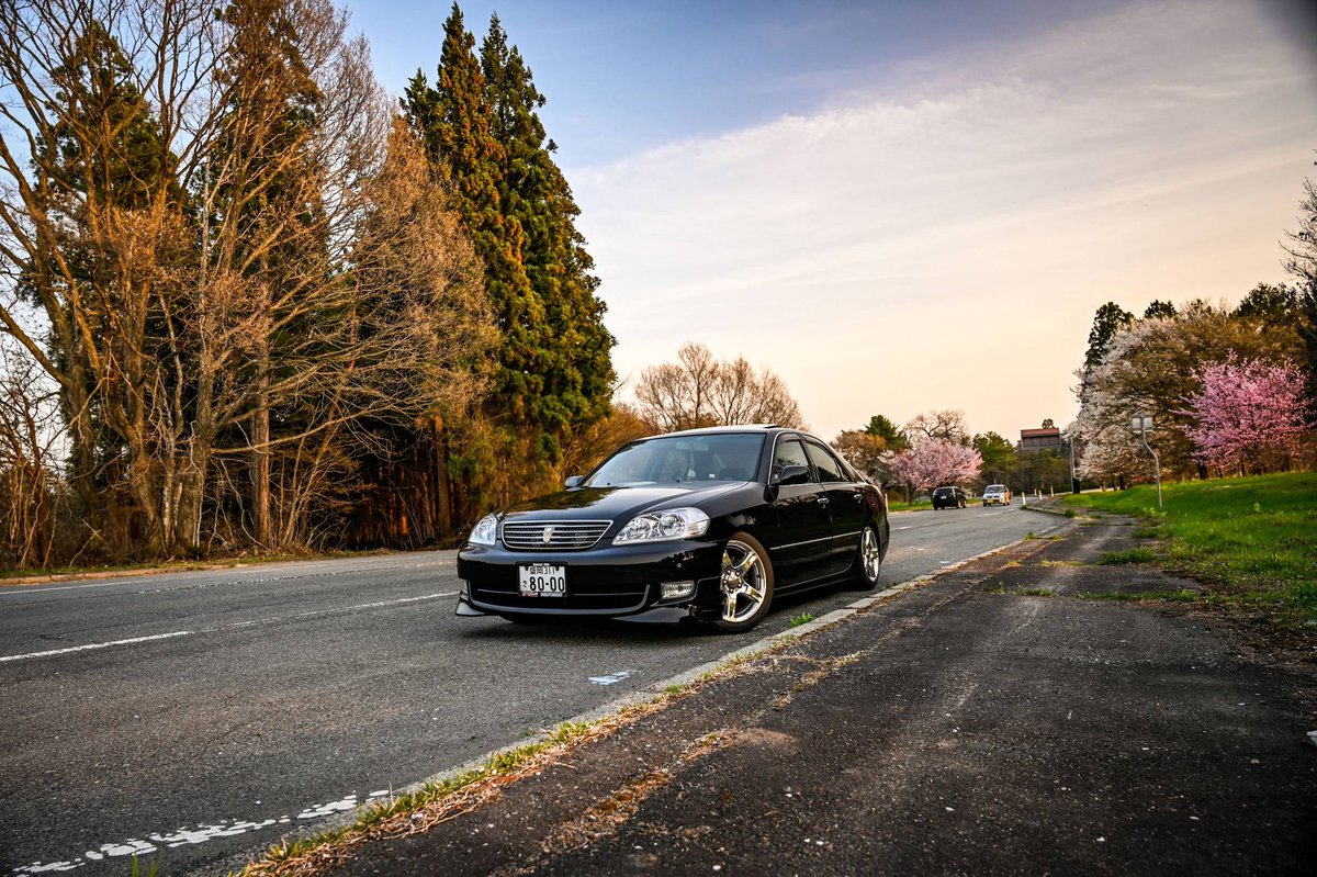 直6大納言☀ tweet media