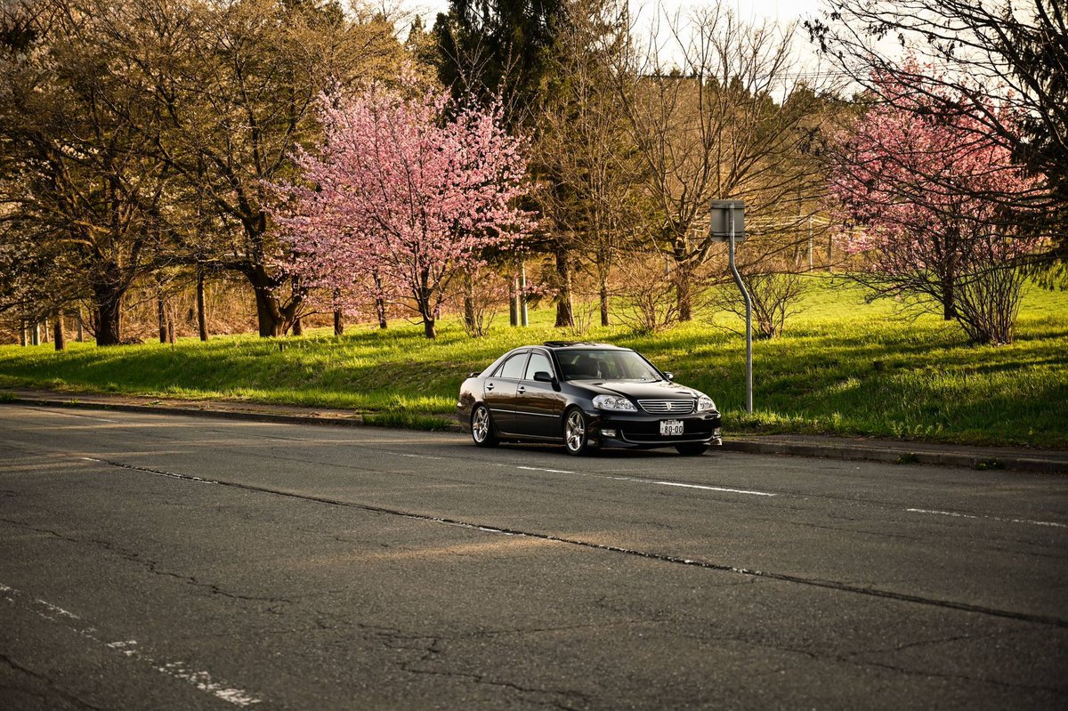 直6大納言☀ tweet media