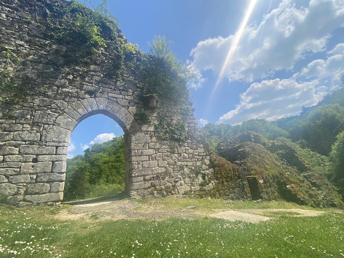 Sauvage &amp; solaire 🌞🌳