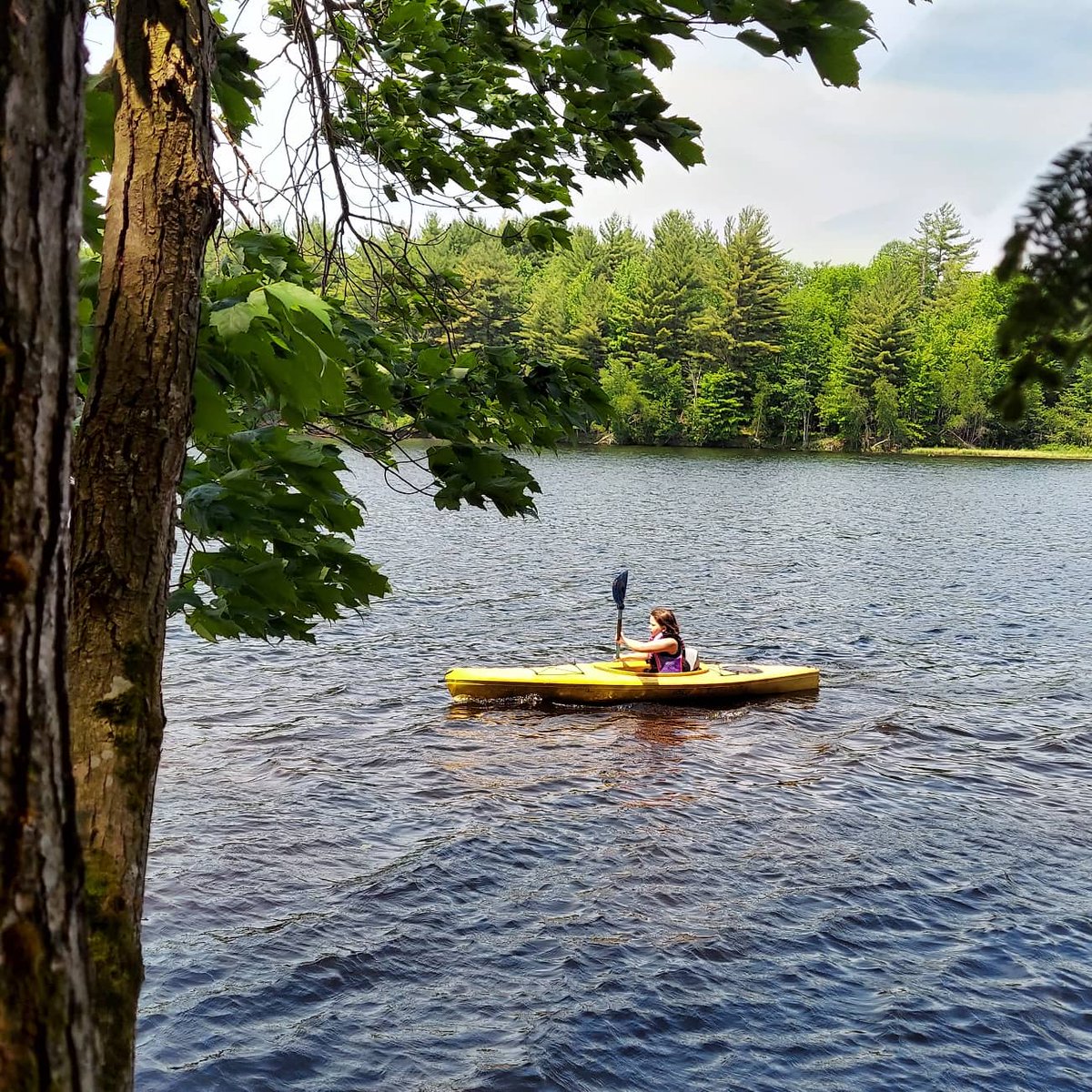JanelleStanford's tweet photo. Living a healthy life!!! 

#outdoorfun #summer #sunshine #kyak #MothersDay https://t.co/dWgeEuF4Qi