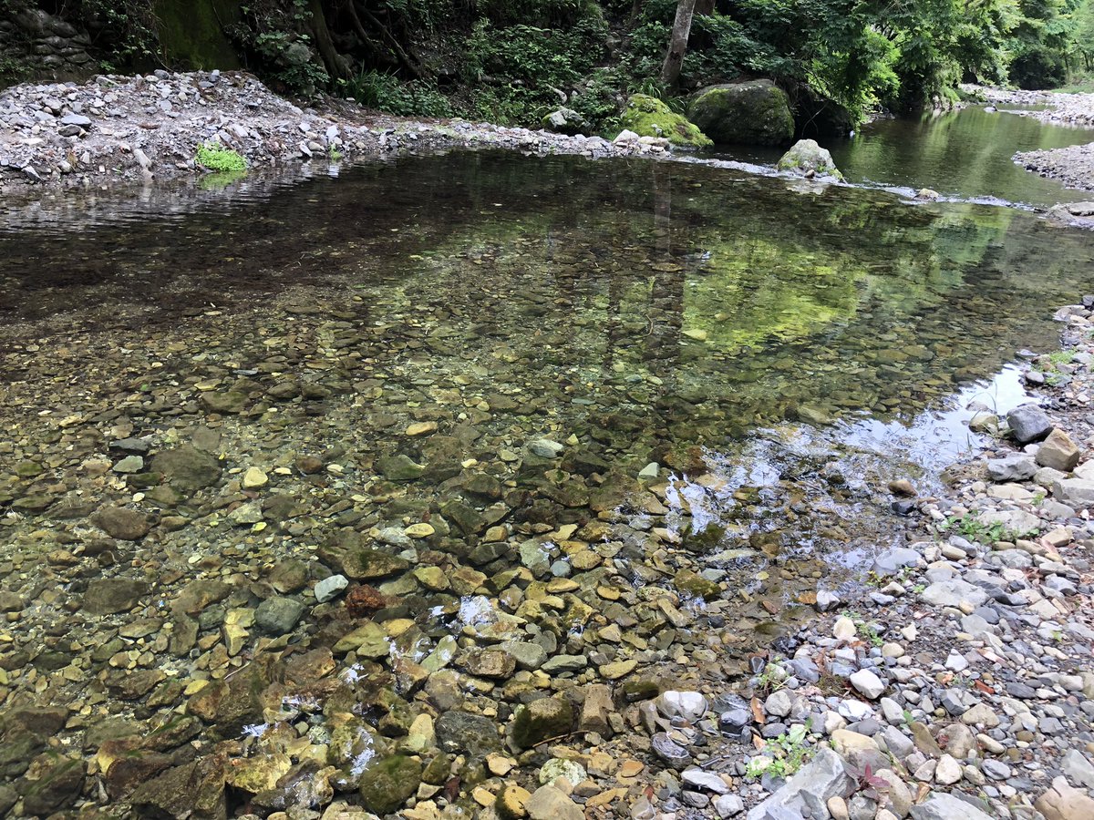 takashakimoto's tweet photo. フライフィッシング日記
＜養沢川＞
・場所：あきる野市養沢
・水系：多摩川
・魚種：ニジマス、ヤマメ
・期間：4～9月
・特徴：川幅狭め
・施設：レストラン、トイレ
・メモ：放流量多く釣果期待大。両岸枝管理されているものの川幅やや狭くキャスティング練習やや難
#フライフィッシング #養沢 https://t.co/OhuMWUWROj