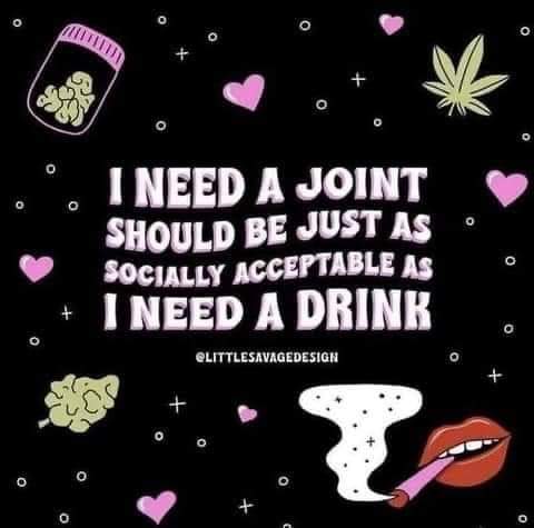 TheSeedlings420's tweet photo. And these are the facts 💚🌱🚀 https://t.co/vO1kNQWqmk
