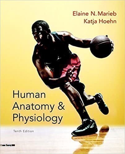 booksolutionst1's tweet photo. Test Bank For Human Anatomy &amp; Physiology 10th Edition 

Product Details:
by Elaine N. Marieb (Author)
Katja N. Hoehn (Author)
Price = $15.55
Product link:
https://t.co/gHdi99FQn4

#Solution_Manual #Test_Bank #Human #Anatomy  #Physiology  #Edition https://t.co/BYeWrIUglD