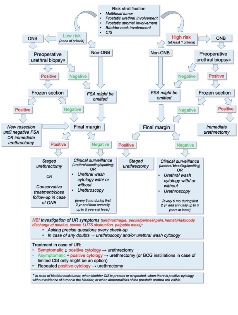 Urothelial CIS of urethral margin (frozen and permanent). Recent published algorithm for urethral frozen section in cystectomy doi.org/10.1016/j.euf.…
#gupath #bladdercancer #frozenpath