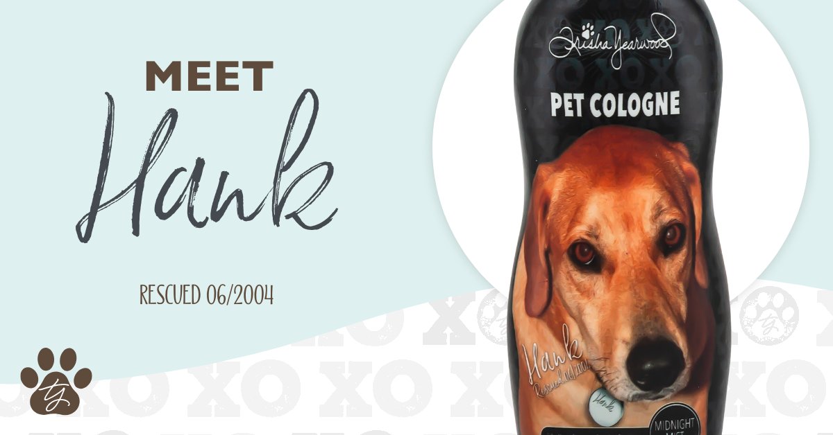 typetcollection's tweet photo. Hank was one of Trisha Yearwood and Garth Brooks' rescue dogs. He was a lab mix who showed up on the farm (just like many of their other rescues). Garth called him Trisha’s 50 lb. lap dog who loved hikes and had the best snore while napping. #typetcollection #meetthedogs https://t.co/nmCdia7BiA