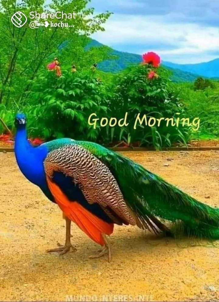 If it's important enough you'll make the time, if it's not you'll make an excuse. #won'tvscan't