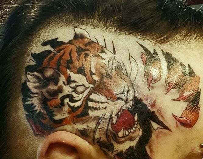 🐯 https://t.co/n63Zx8rJtW